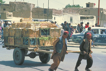 Porteurs_Hazaras