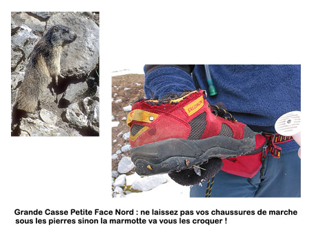 079-marmotte-chaussures