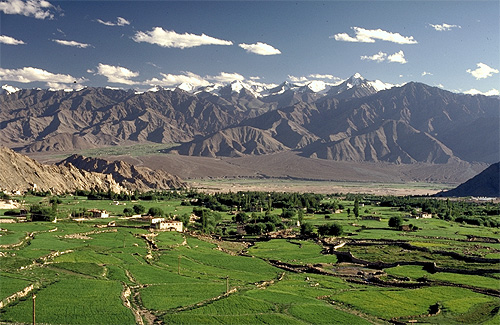 plaine_leh_sankar